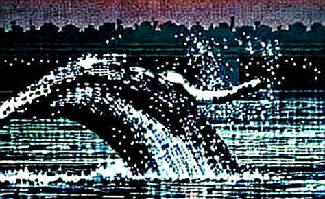 The 79 BTC Signal: Why Strive's Tiny Buy Reveals a Dangerous Concentration The 79 BTC Signal: Why Strive's Tiny Buy Reveals a Dangerous Concentration